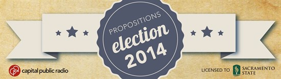 0507 Props - Election Banners -02 (1)